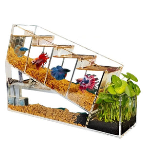 Big Up Pet Shop Acrylic Betta Fish Tank: Multi-Cell Isolation, Self-Circulating Filtration, Eco-Friendly Aquarium for Kids Gifts