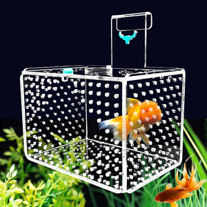 Big Up Pet Shop Aquarium Incubator: Transparent Acrylic Isolation Box for Fish Fry Breeding