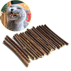 All-Natural Catnip Pet Cat Molar Toothpaste Stick