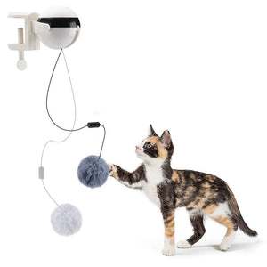 Big Up Pet Shop-Smart Cat Toys Interactive Ball Catnip Cat Training Toy